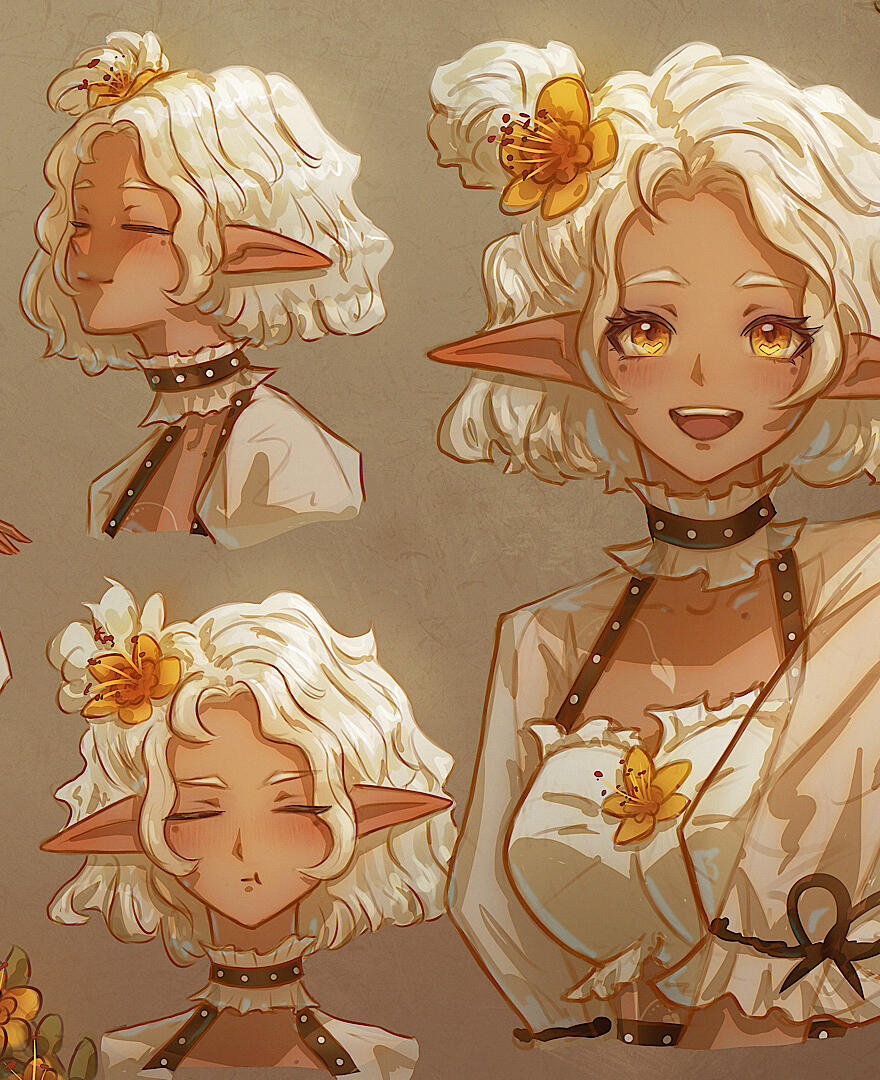 Banner Banner